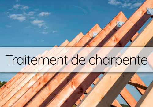 Treaitement de charpente Villeneuve-Tolosane
